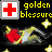 [:golden blessure]
